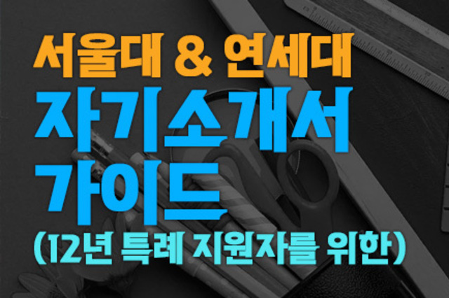 서울대·연세대 12년 특례 전형 자기소개서 완전 정복 가이드